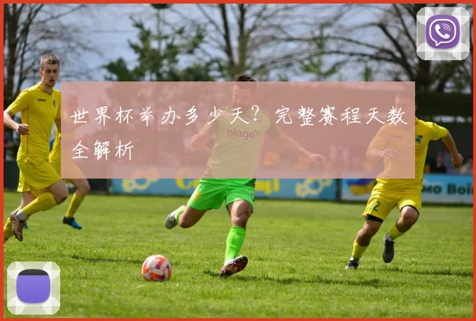 世界杯举办多少天?完整赛程天数全解析