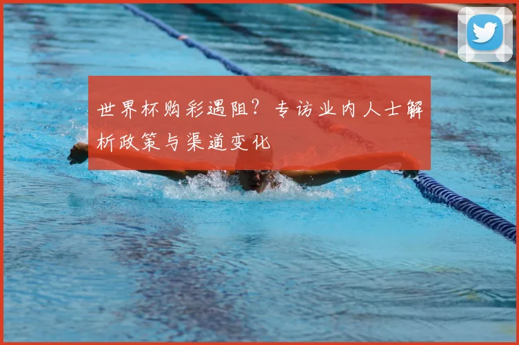 世界杯购彩遇阻？专访业内人士解析政策与渠道变化