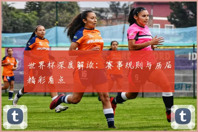 世界杯深度解读：赛事规则与历届精彩看点