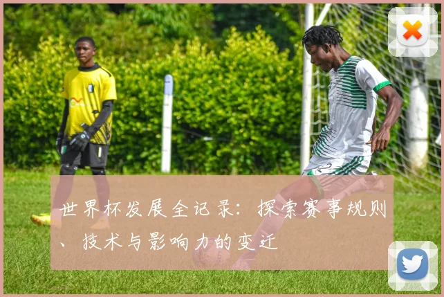 世界杯发展全记录：探索赛事规则、技术与影响力的变迁
