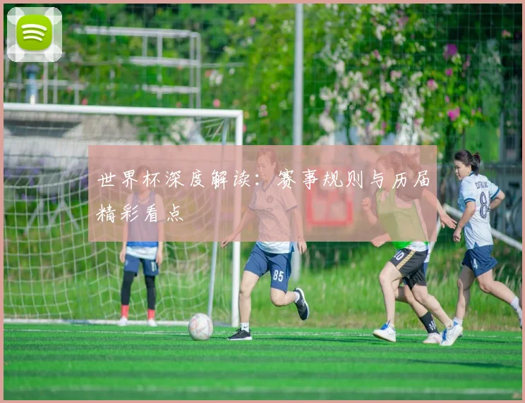 世界杯深度解读：赛事规则与历届精彩看点