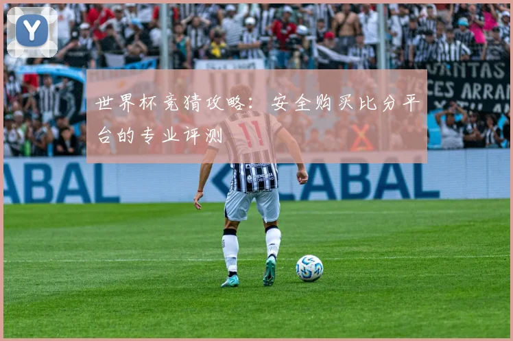 世界杯竞猜攻略：安全购买比分平台的专业评测