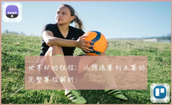 世界杯的征程：从预选赛到决赛的完整赛程解析
