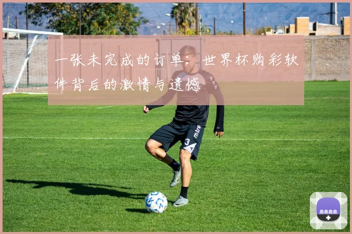 一张未完成的订单：世界杯购彩软件背后的激情与遗憾