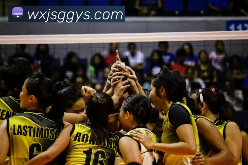 hth华体网站平台生态图